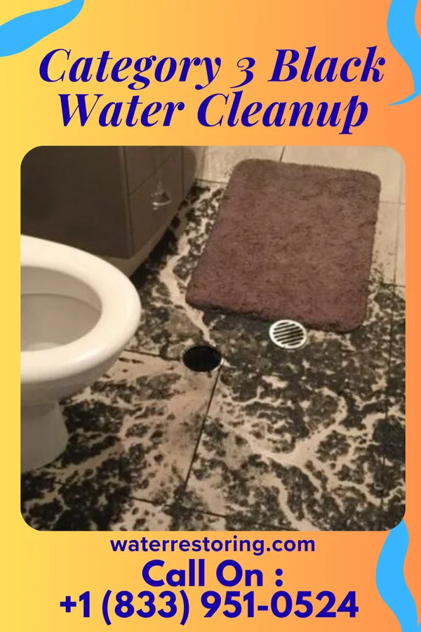Category 3 Black Water Cleanup in Islandia, NY