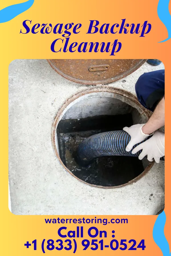 Sewage Backup Cleanup in Islandia, NY