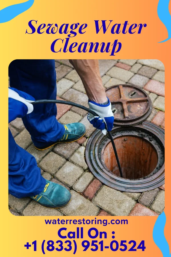 Sewage Water Cleanup in Islandia, NY